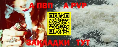 a pvp Кимры