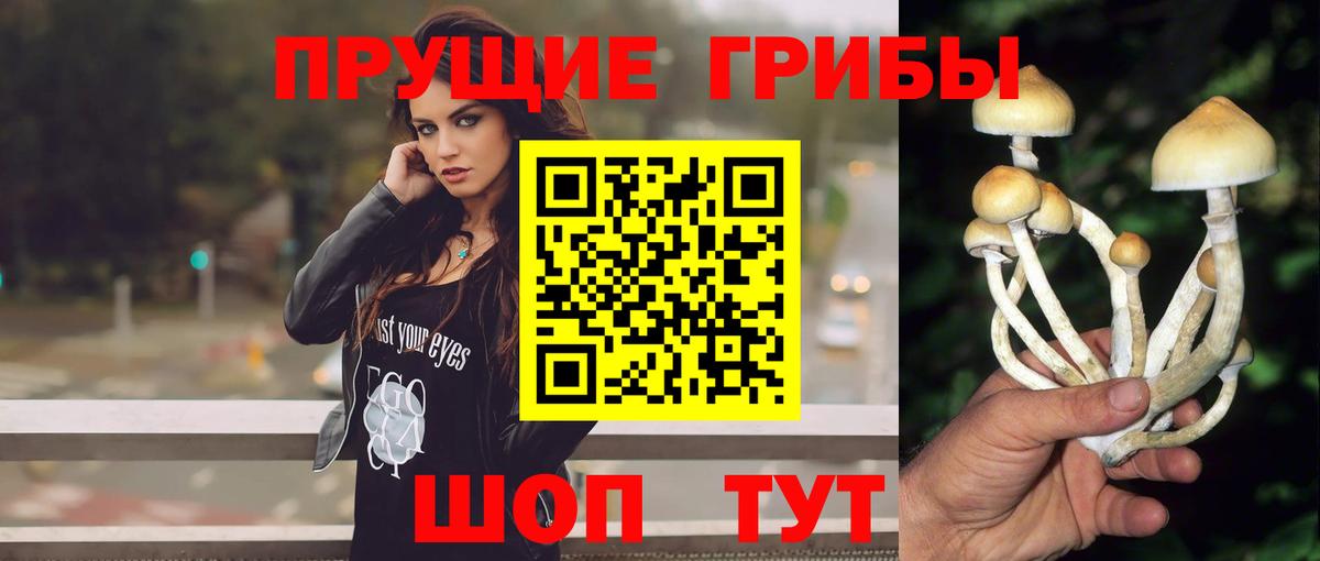 Благовещенск  Псилоцибиновые грибы MAGIC MUSHROOMS  где найти наркотики  Вход с VPN 